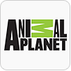 Animal Planet